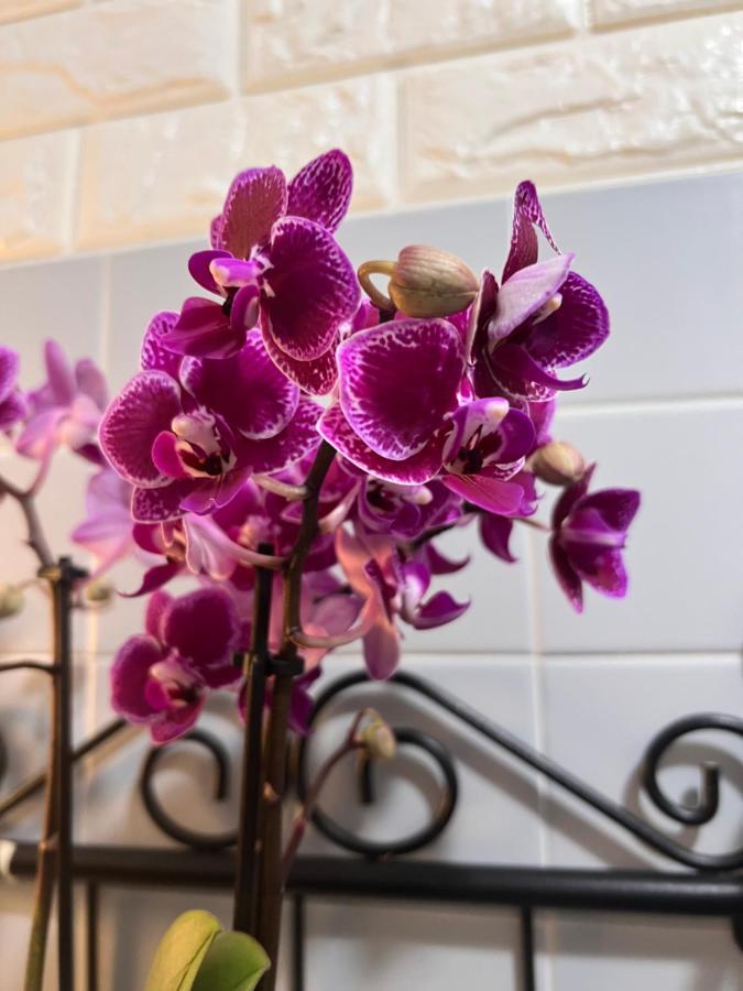 Appartement Palazzo Malipiero à Venise Extérieur photo